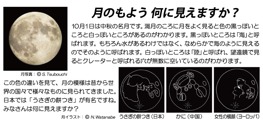 コラム 月のもよう 何に見えますか ないせすアカデミア トップページ