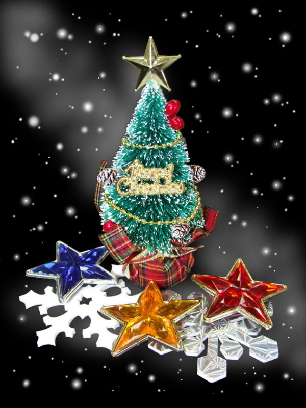 クリスマス特別投映 一般向け「クリスマスの星空めぐり」(事前申込み制)