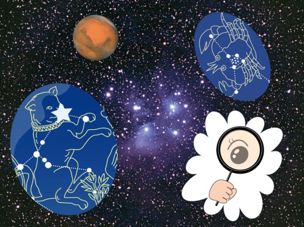 3月「ふたご座を探る」