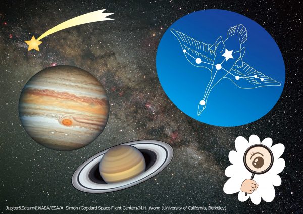 8月「とことん星空案内」