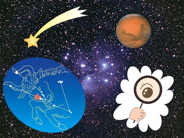 2月「オリオン大星雲にせまる」