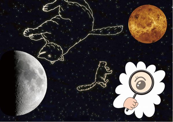 5月「うつり変わる北極星〜歳差(さいさ)の話」
