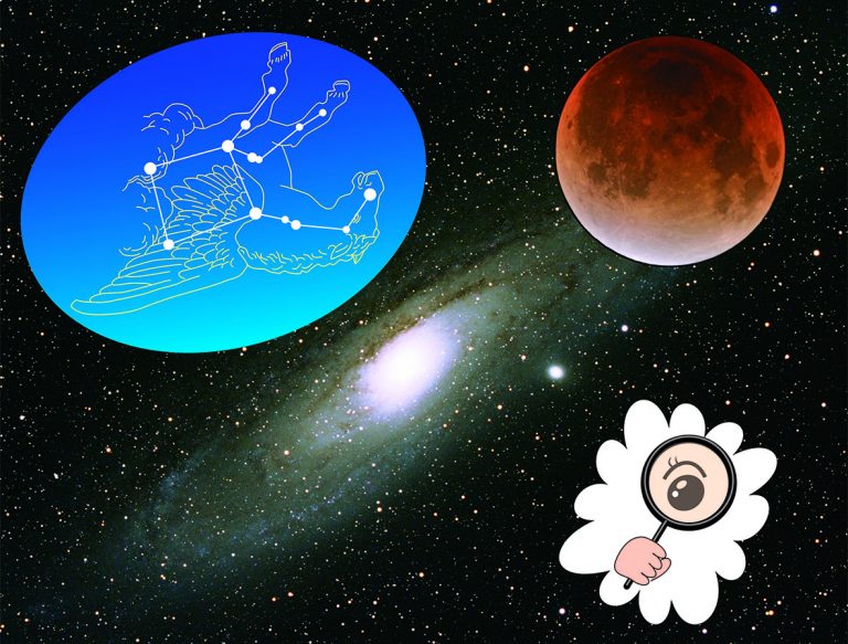 こども星空探偵団(小学中学年以上向け) 「わく星のヒミツにせまる」