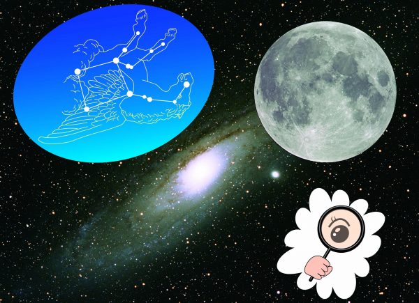 こども星空探偵団(小学校中学年以上向け)「月のふしぎ」